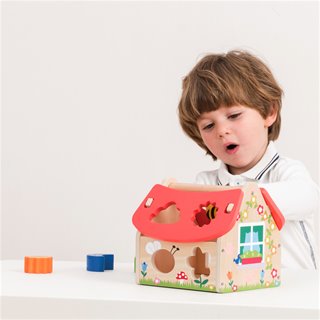 Shape sorting house